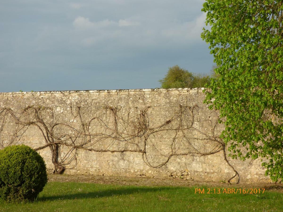 Chateau De Montrame Soisy-Bouy Exterior photo