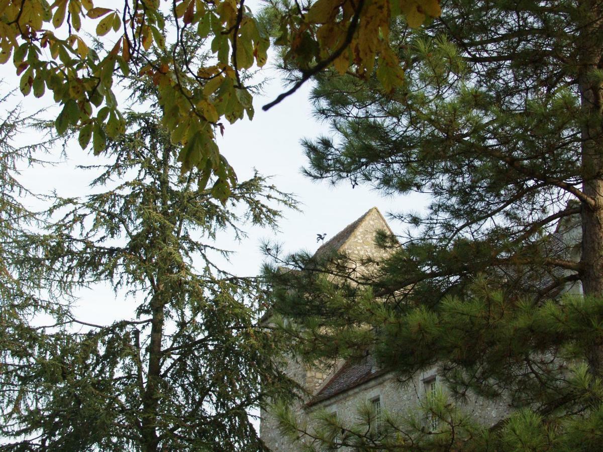 Chateau De Montrame Soisy-Bouy Exterior photo