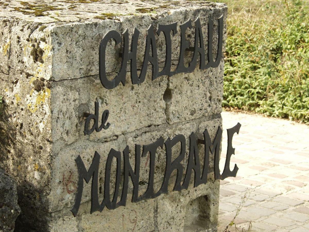 Chateau De Montrame Soisy-Bouy Exterior photo